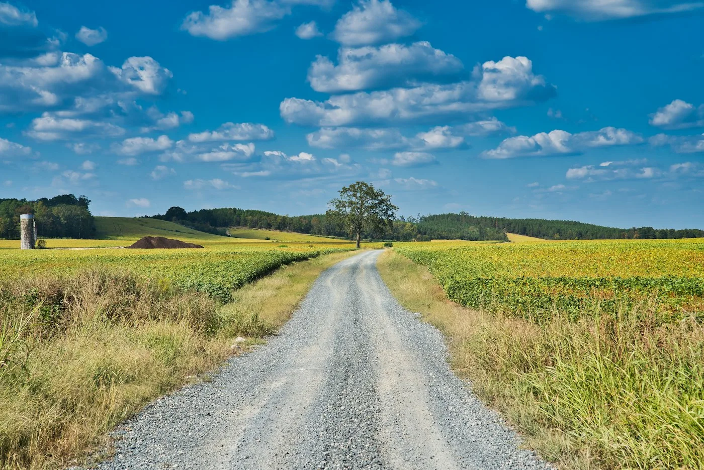 Gravel road through open country