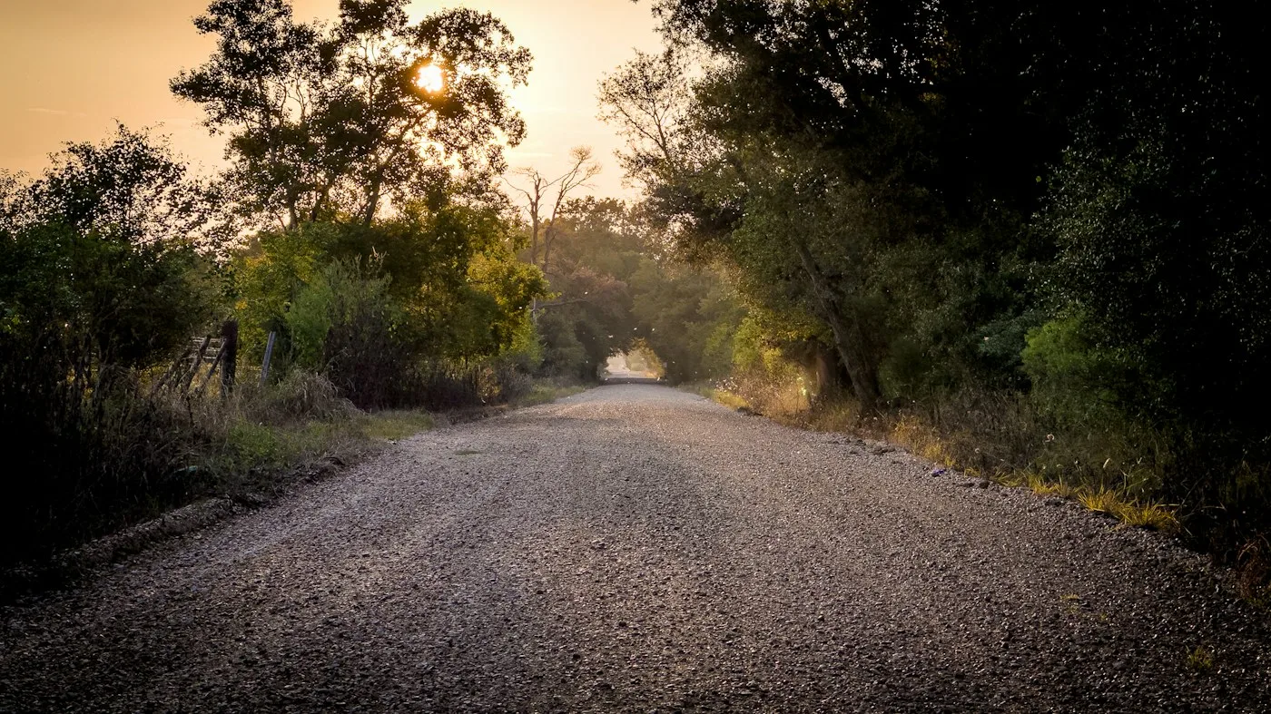 Gravel access road in wooded surroundings
